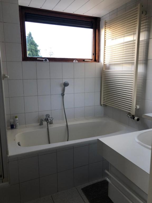De grote Zeearend room 3